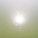 聶鑫