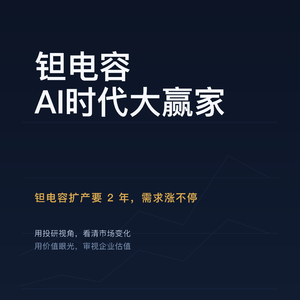 钽电容 | AI时代，电容行业最大赢家