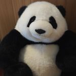 爱鸭脚