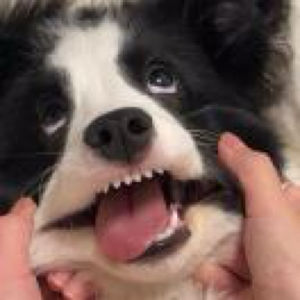 1.名词解释《新闻价值》