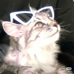 为了在客厅吃冰淇淋