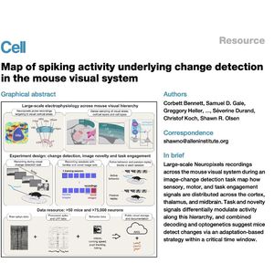 1368-Neural Mapping of Mouse Visual System Change Detection
