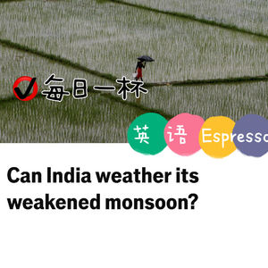 【375】这一轮雨季，印度还能扛住吗