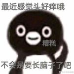 小锦鲤啊