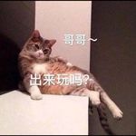 穿西装的女巫