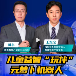 第213集 儿童益智“玩伴”，元萝卜下棋机器人