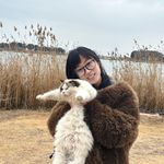 吴语511