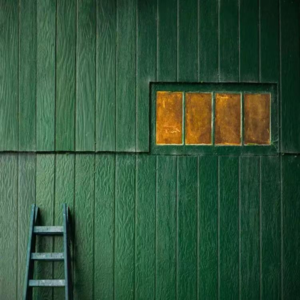 Vol.06｜老病死，离我们有多远？