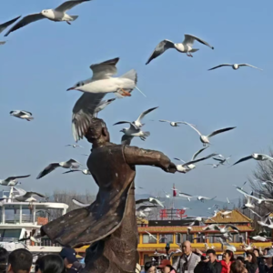 一天吵三架?云南蜜月旅行是生活的延续