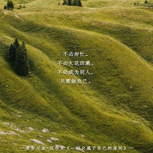 5.4.2文学创作中的直觉、灵感和无意识