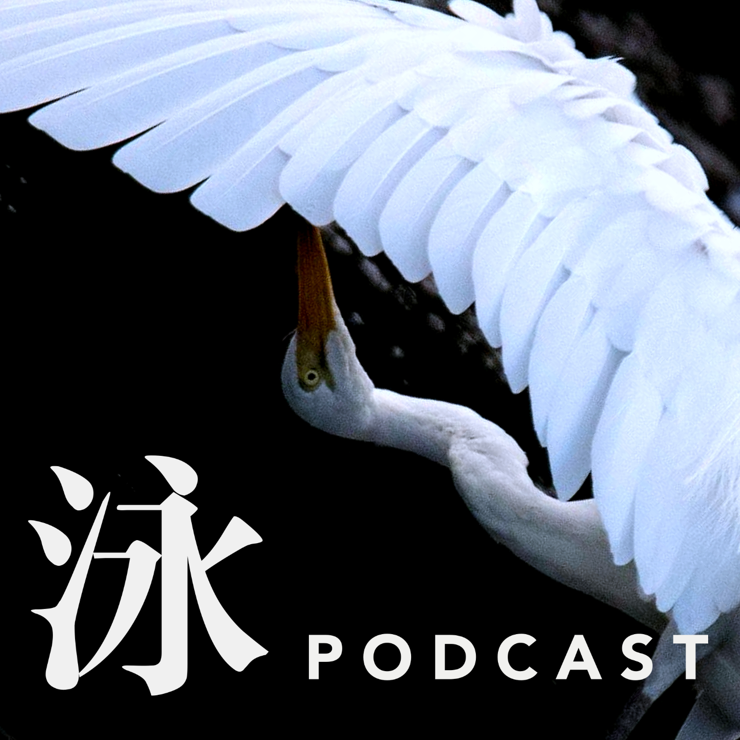 20 饺子，殖民，悄悄变红的夜 episode artwork