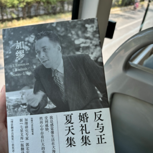 VOL.008|无酒成醉的夏夜