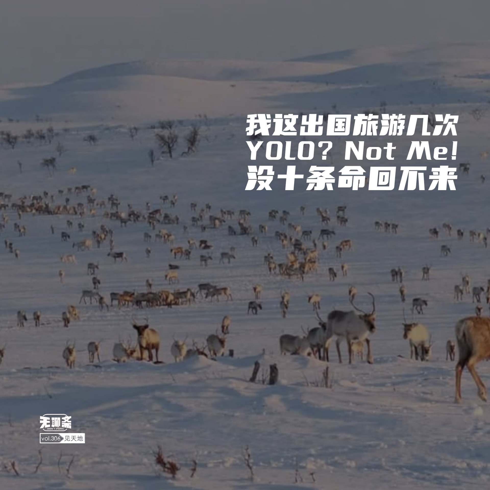 vol.306 我这出国旅游几次，没十条命回不来