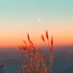 虚心学习的咖啡