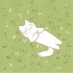暴躁大猫咪