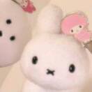 小梨oyixi