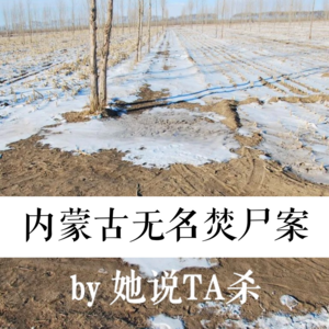 1. 为你、千千万万遍：内蒙古无名焚尸案