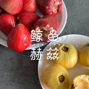 Vol.265 谁能想到莲雾这么甜、水蒲桃这么香啊？