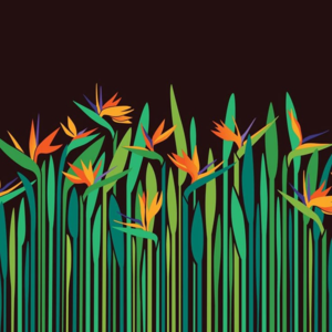 16 在昆明|收获一副金黄色的塔罗牌,我们回到地面然后竖起天线