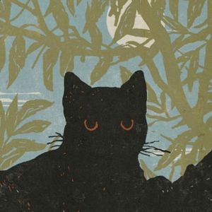podcaster-avatar