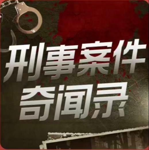 刑事案件奇闻录