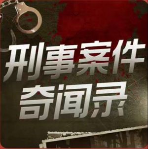 刑事案件奇闻录