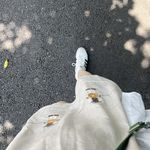 灵蛋窝牛