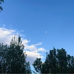 lisaa_li