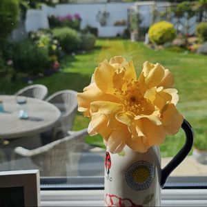podcaster-avatar