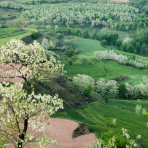 0002-永寿：自然与人文交相辉映