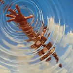 小小宇宙爆发期