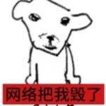 综星星