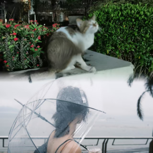 No.159 播客“漂流”三周年，现实生活迷茫中的“中场休息”