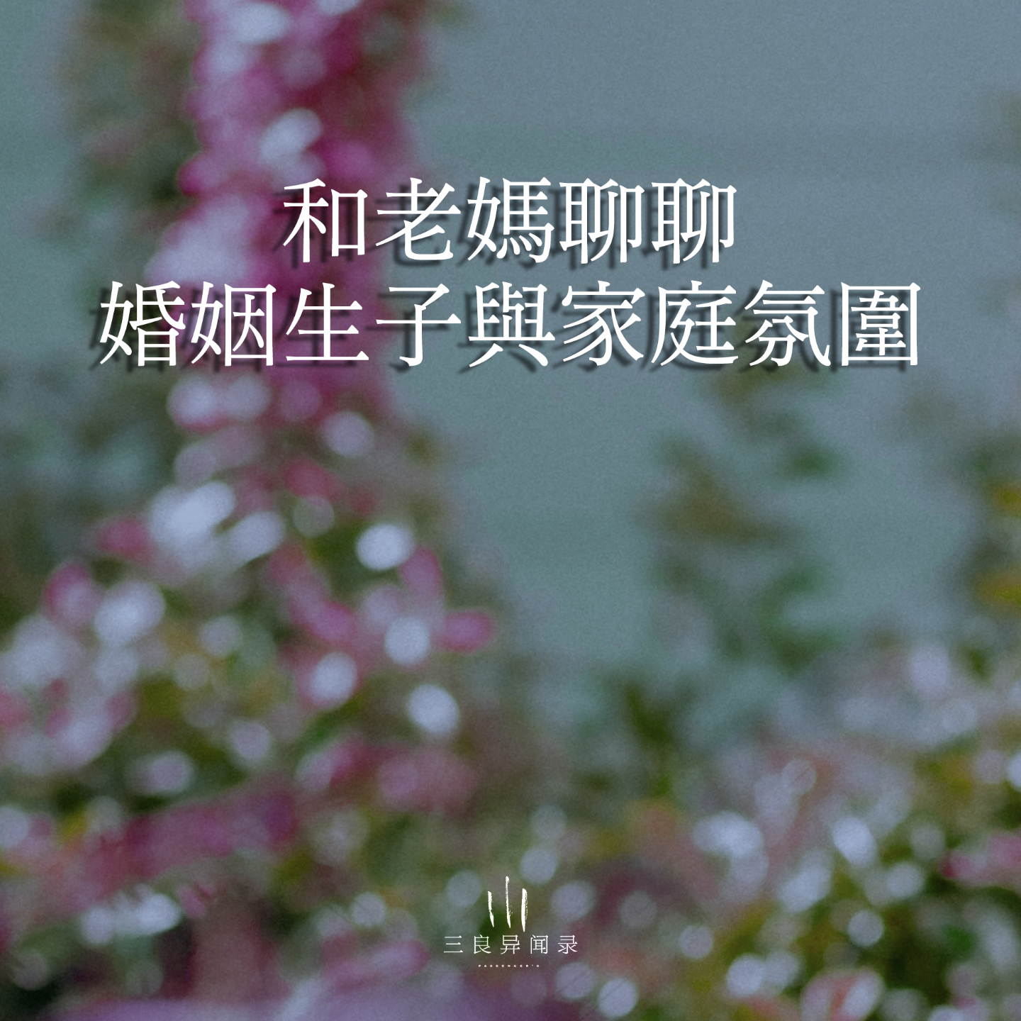 【三良日常】与妈妈聊聊结婚生子，以及家庭氛围对人的影响。 episode artwork
