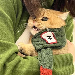疯狂毛子