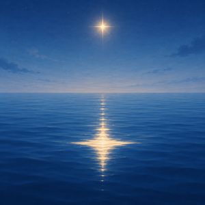海里有星