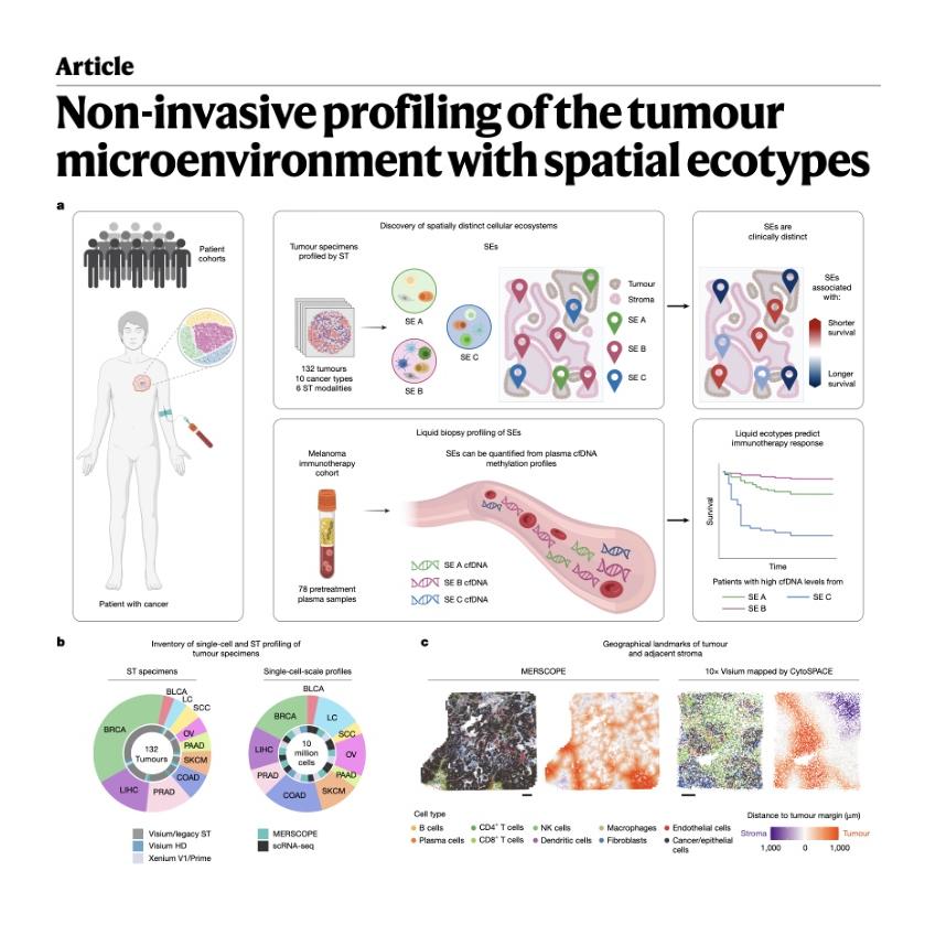 1031-Spatial Ecotypes of Tumour Microenvironments episode artwork