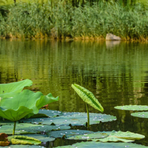 股票投资第三步：建立自己的选股池