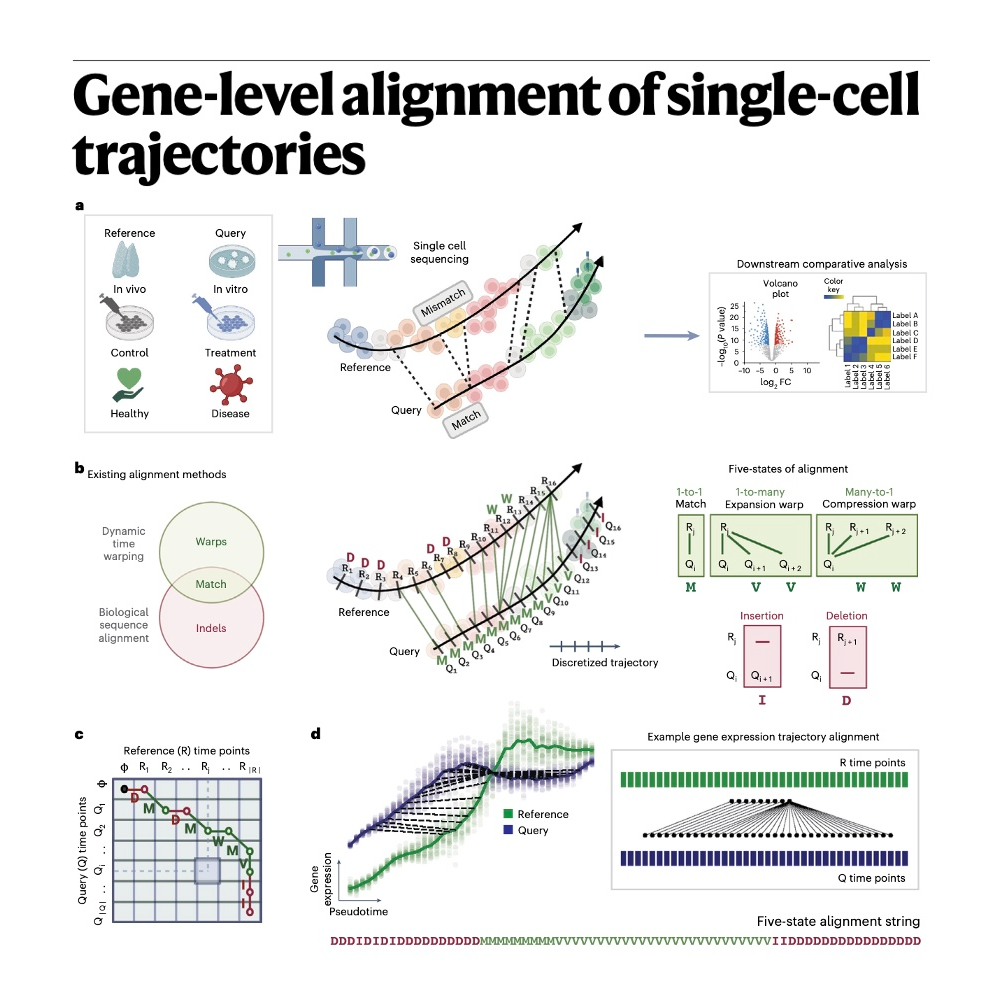 770-Genes2Genes：单细胞轨迹的基因级贝叶斯动态对齐框架