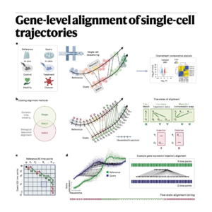 770-Genes2Genes: for Single-Cell Trajectory Alignment