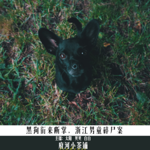 黑狗衔来断掌，浙江男童碎尸案