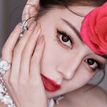 返景入深林abc