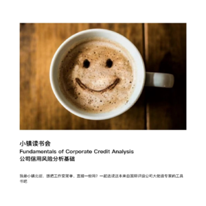 选读《公司信用风险分析基础》 第八期