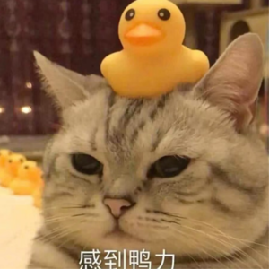 10. 既要努力又要松弛,压力更大了!ft.棕榈资本李厚明 心理学家郑琰婷