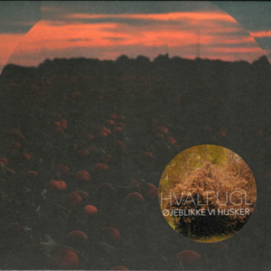 264 ｜Øjeblikke Vi Husker 记忆时刻