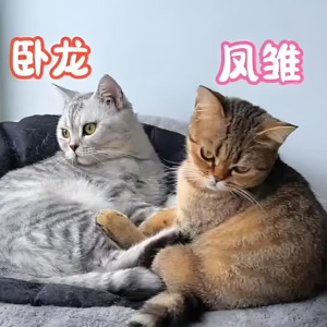 让关系更丰盈—从伙伴关系中学习经营重要的人际关系