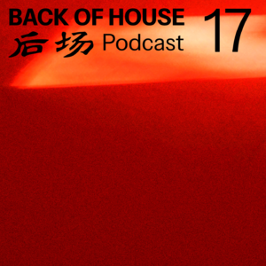 威尼斯双年展：如何展览建筑？