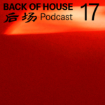 威尼斯双年展：如何展览建筑？