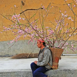 《三峡好人》中的渺小与生存
