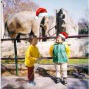 居歪GY的个人播客